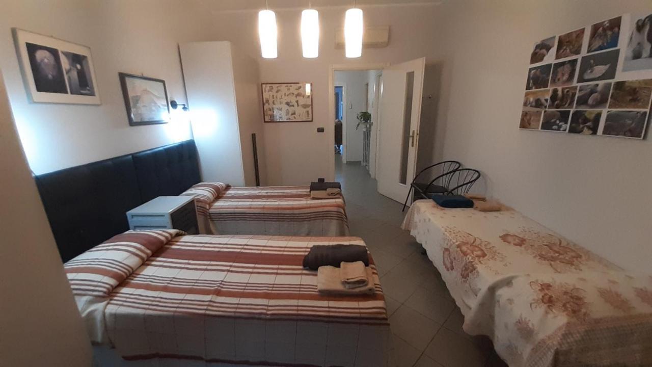 Apartamento Metronear Collegno Exterior foto